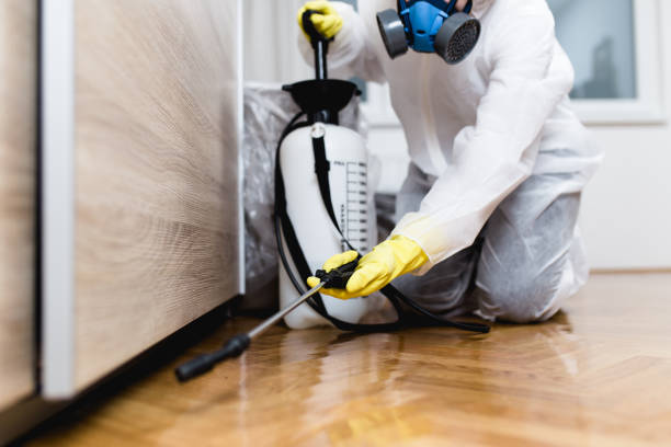 Best Rat Extermination Near Me  in Raymond, IL