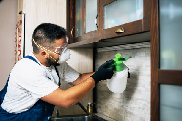 Best Affordable Pest Control Services  in Raymond, IL