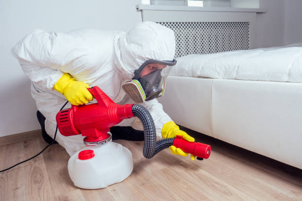 Best Affordable Pest Control Services  in Raymond, IL
