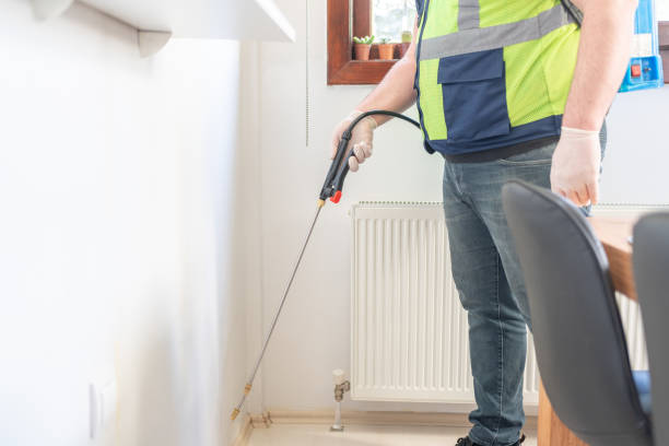 Best Termite Control Services  in Raymond, IL