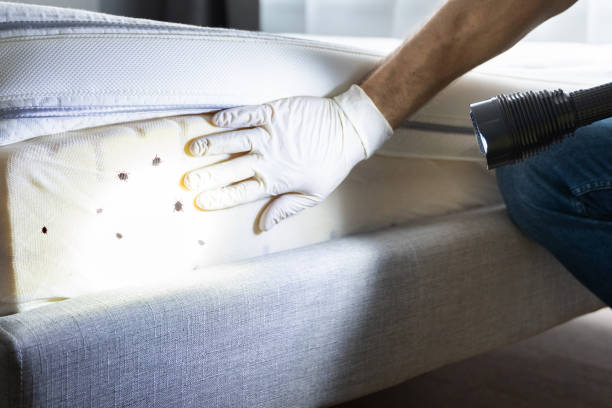 Best Commercial Pest Control Services  in Raymond, IL