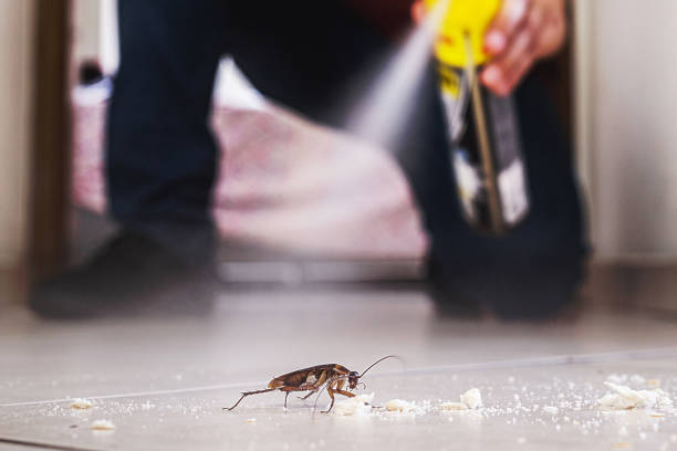 Best Emergency Pest Control  in Raymond, IL